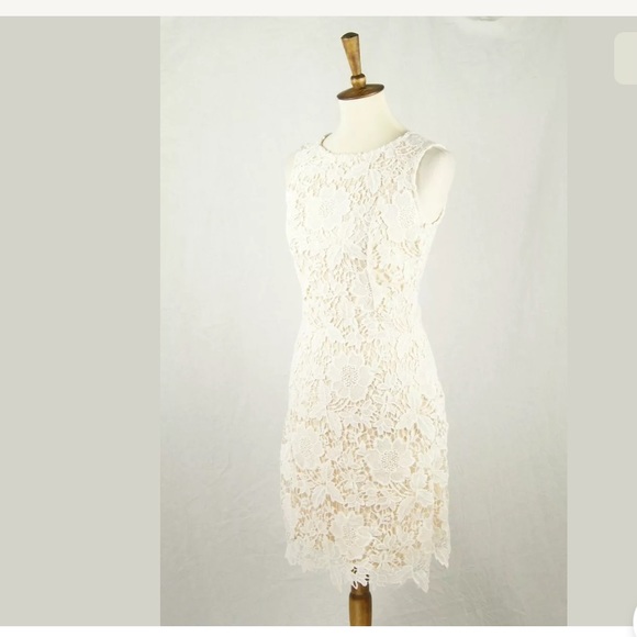 ❌SOLD❌Ann Taylor LOFT Lace Overlay Sheath Dress - Picture 2 of 6